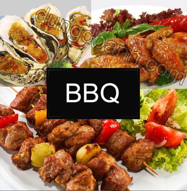 lo-nuong-bbq-dung-gas-2