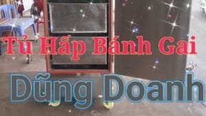 Tủ hấp bánh gai Dũng Doanh dùng điện