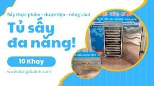 Tủ sấy cơm cháy sấy thực phẩm nông sản dược liệu đa năng 10 khay